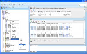 SQL Developer demo SQL Developer screenshot