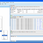 Oracle SQL Developer import connections