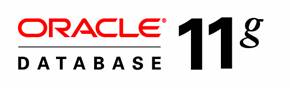 oracle_11g_database