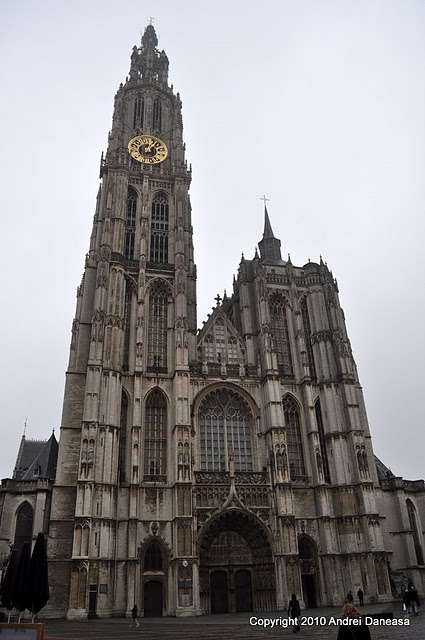 DSC_3556